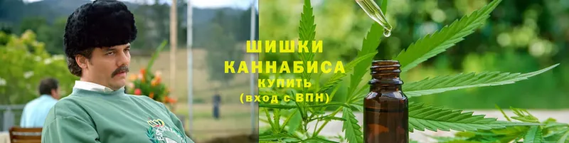 хочу наркоту  Кяхта  ОМГ ОМГ ссылка  Канабис сатива 